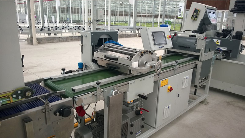 华农-上海项目-播种线1