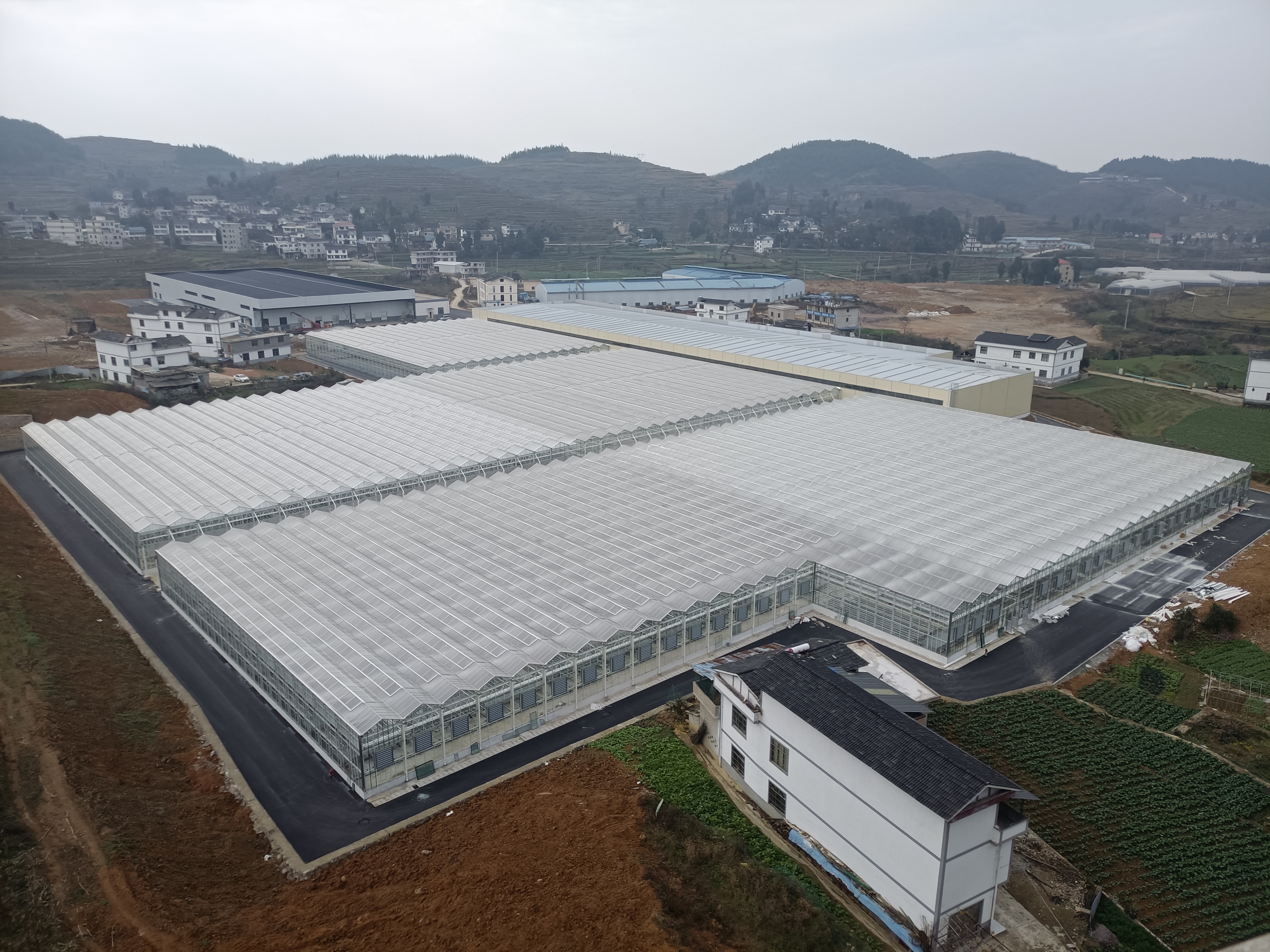 贵阳楠木渡育苗中心