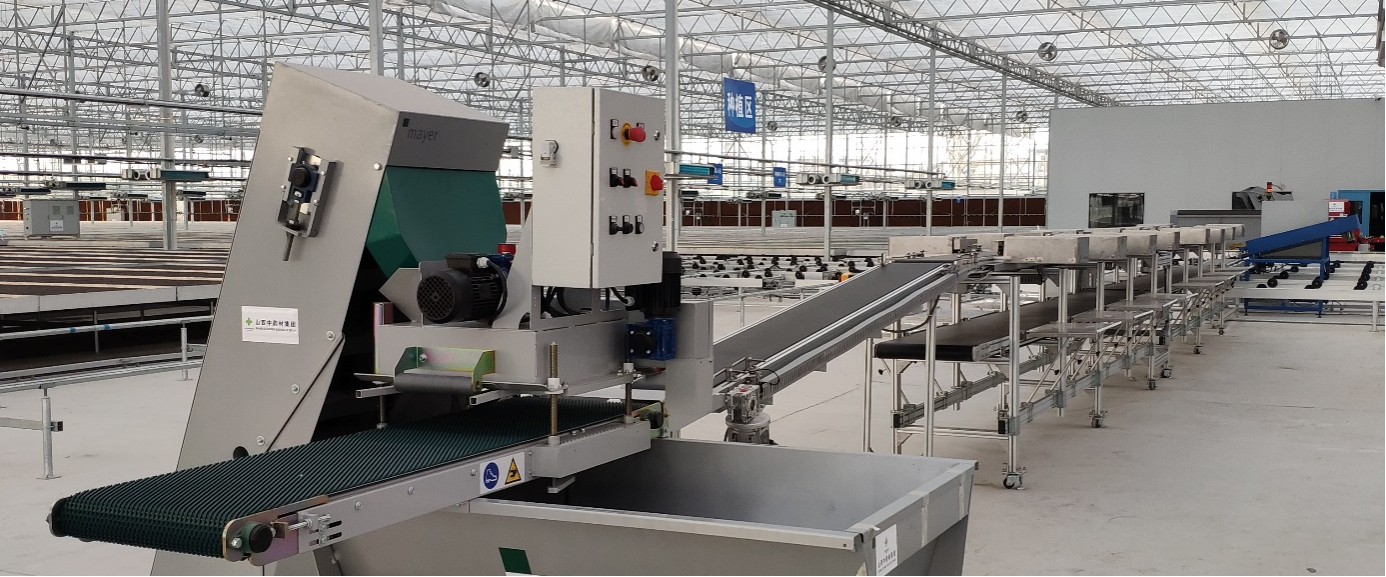 新品登陆 | 穴盘苗移栽作业平台