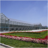 大连西郊生物园玻璃温室项目