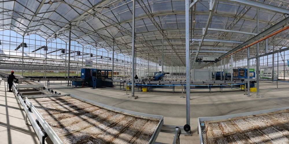 设施园艺工厂如何面对多样性