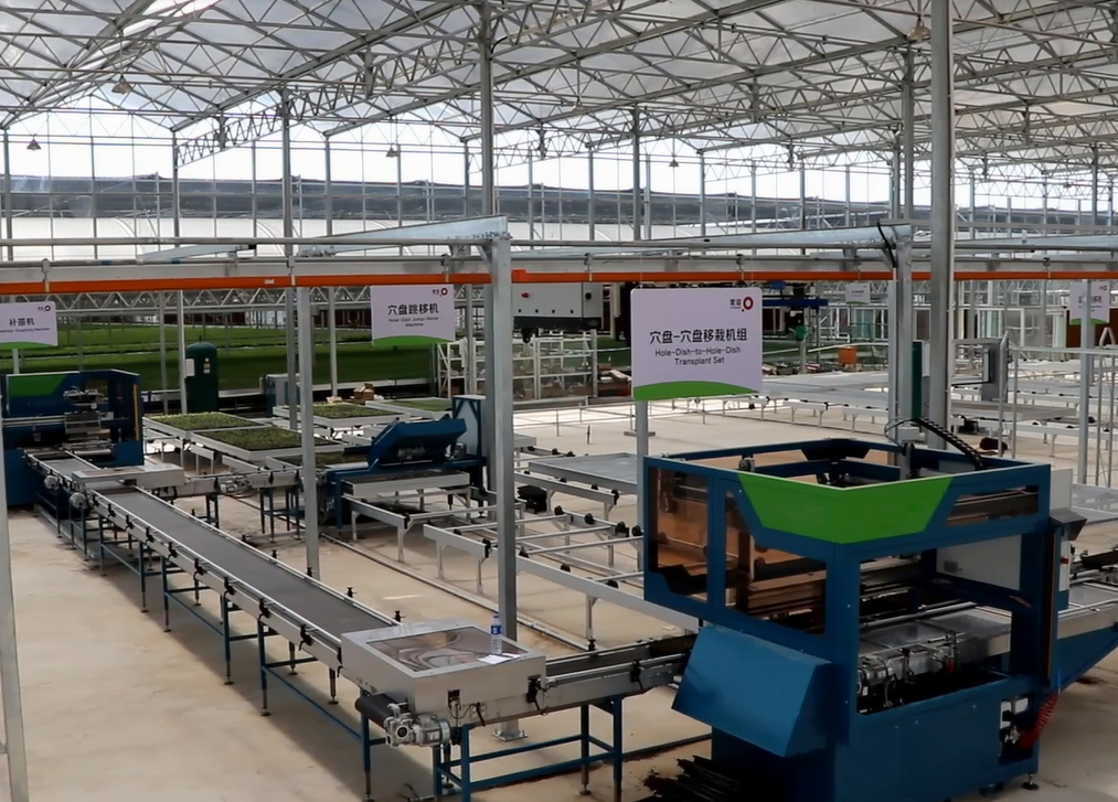 内蒙工厂化育苗育草项目