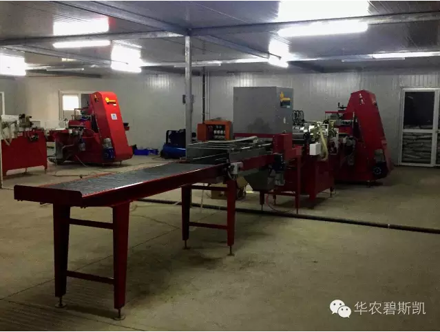 ✎ 华农为南通客户提供播种线解决方案