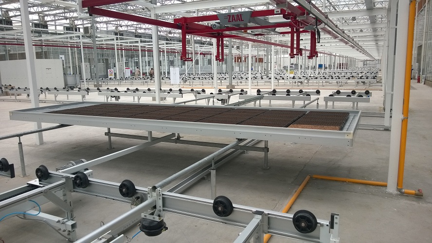 华农-上海项目-操作车间天车及物流线2