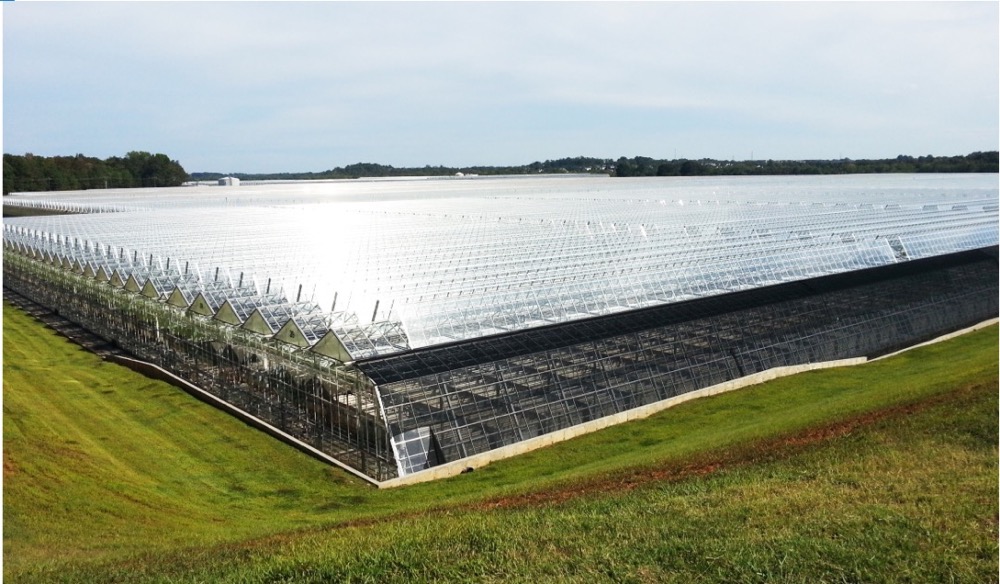 玻璃温室能否盈利，这几个方面是关键！