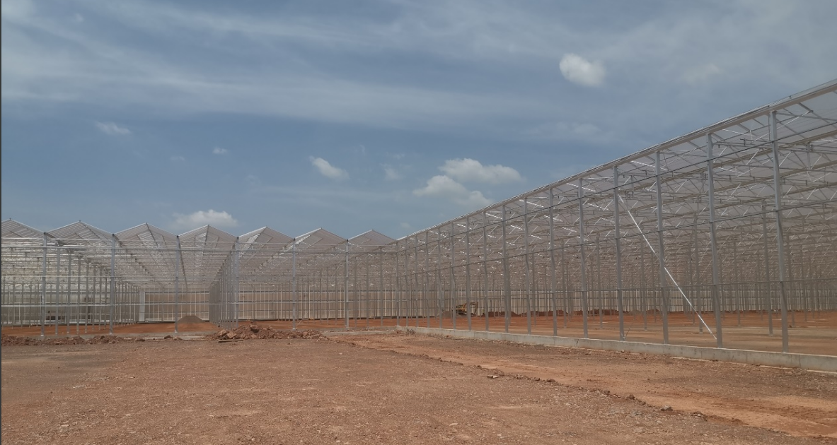  我国最大规模种苗工厂即将落成